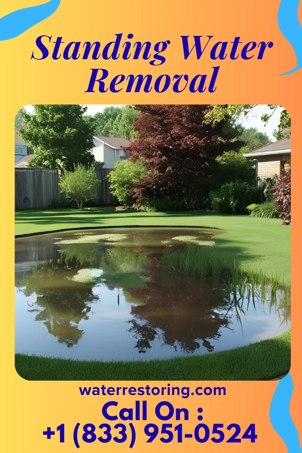 Standing Water Removal in Walled Lake, MI